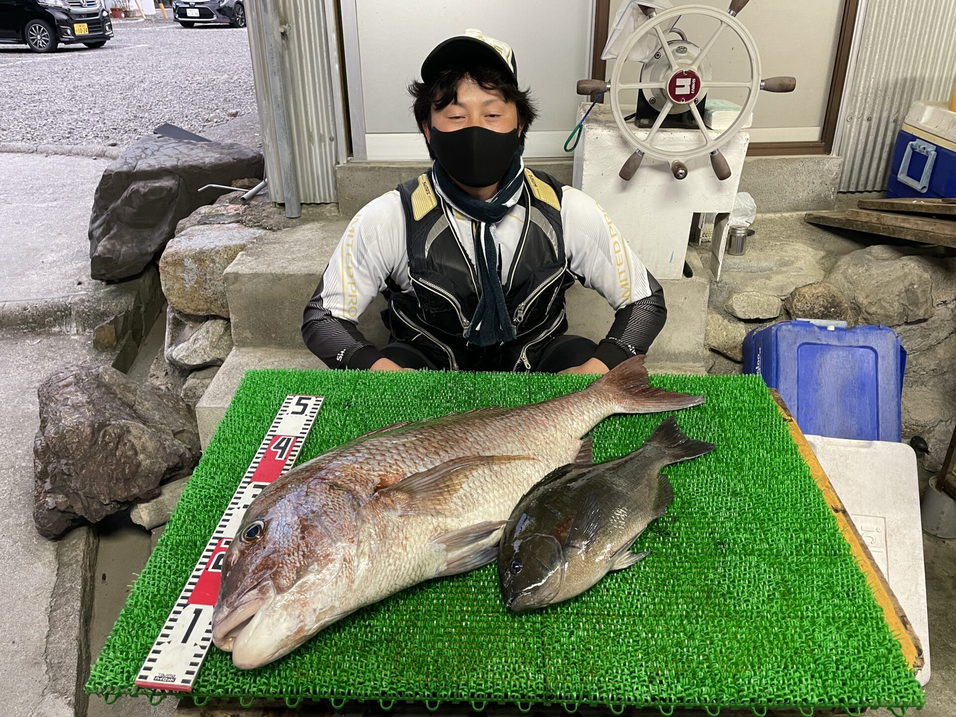 磯釣りで大型真鯛 グレ47 ゲット 一栄丸渡船 三重県紀北町